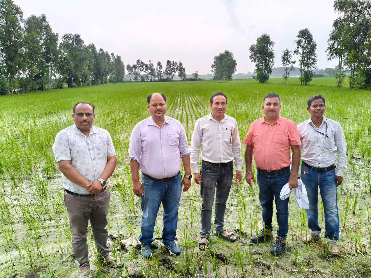 धान की सीधी बुवाई वाले खेतों का वैज्ञानिकों एवं उच्च अधिकारियों ने किया निरीक्षण, किसानों को दिए  महत्वपूर्ण सुझाव