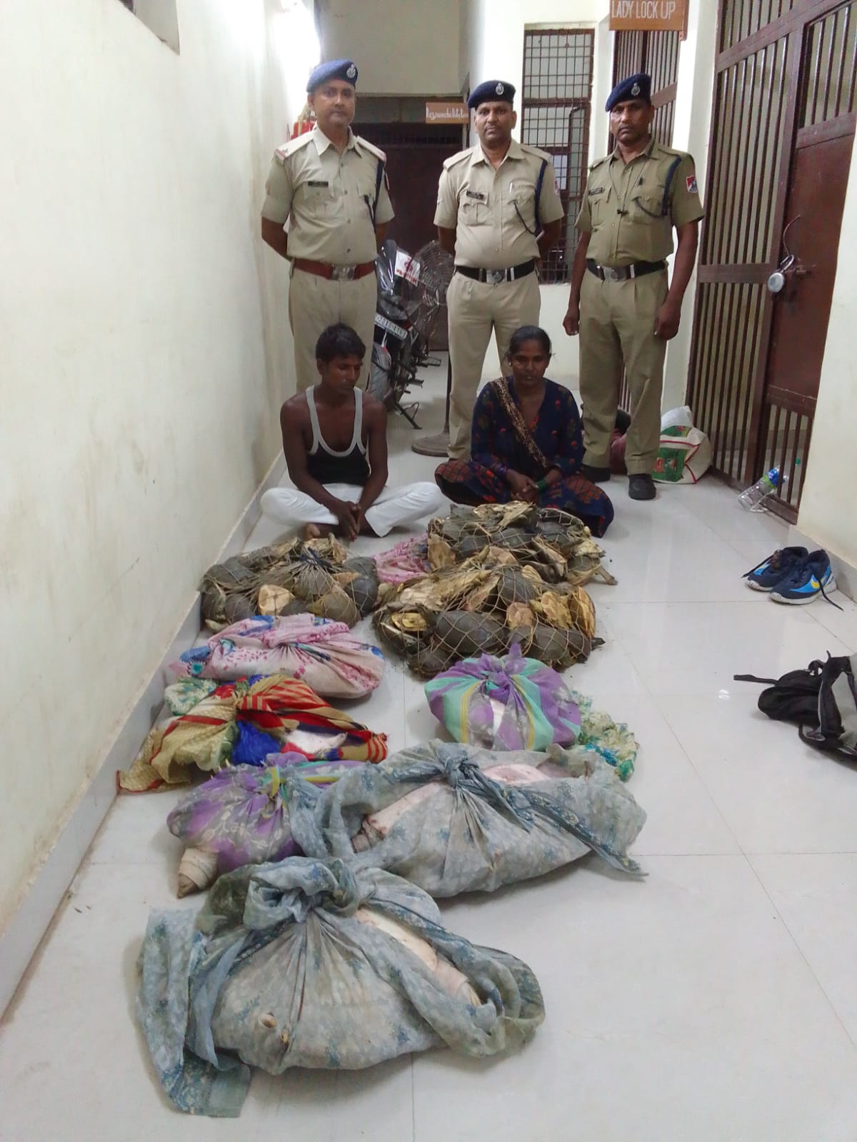 गाड़ी संख्या 22308 के जनरल कोच से 236 नग कछुआ बरामद
