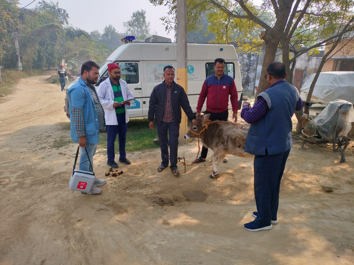 गोंडा : ग्राम पंचायत धनौरा में पशुओं का हुआ टीकाकरण