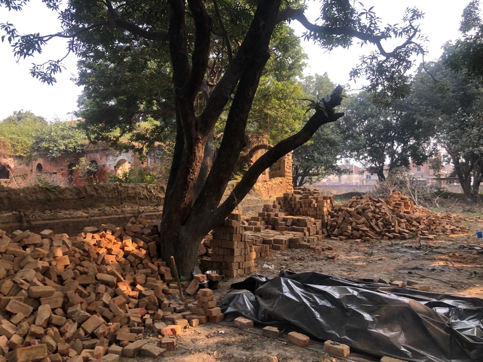 राजधानी लखनऊ के काकोरी कस्बा में मुबारक महल इमारत का दफन होता जा रहा है इतिहास।